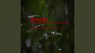 13 06 7529