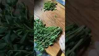 How we make use of weeds like purslane in our vegetable garden! #gardening #gardentips #foraging