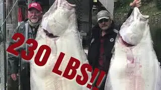 Incredible halibut waters edge lodge Alaska July 20-24, 2020