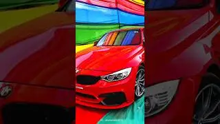 The Valley Run 2024 Winter Edition 🏁🚦 #race #bikerace #carrace #lonavala #ambevally #vipcar #shorts