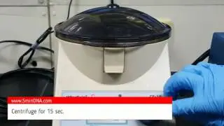 5 minutes cell/virus RNA extraction