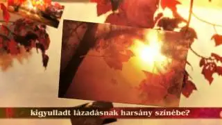 Kosztol&aacute;nyi Dezső - V&ouml;r&ouml;s hervad&aacute;s