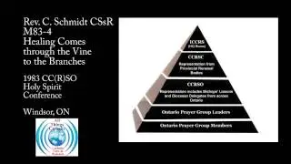 Healing Comes through the vine to the branches - Fr. Carl Schmidt CSsR