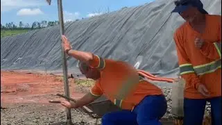Ninguém aguenta esse veio