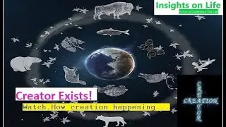 Creator and Creation| Benefits of Evolution| Insights on Life Video 2 | Evolution | COVID19 |