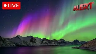 LIVE CAM: View of northern lights in Greenland as Trump says US, NATO will work something out
