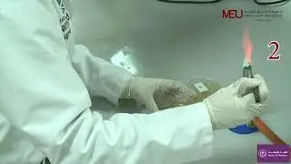 Pharmaceutical Microbiology Lab - Aseptic techniques and Isolation of pure culture