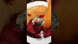 Carmine(Cochineal) Lipstick💄😱#science #sciencefacts #space #collabfacts #facts #shorts