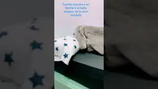 #stitch #divertido