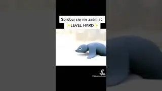 #memes