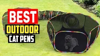 ✅Top 5 Best Outdoor Cat Pens of 2025