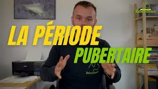 La période pubertaire du chien - EDUCHIEN78