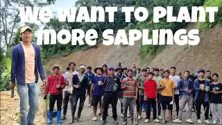 Planting trees to save environment  #environmentalawareness #reels #planting #shortvideo