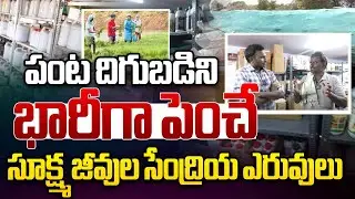 పంట దిగుబడిని భారీగా పెంచే | Microbial organic fertilizers | Raitu Pragogasala | Rythanna Nestam