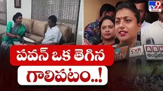 Minister RK Roja Sensational Comments On Pawan Kalyan - TV9