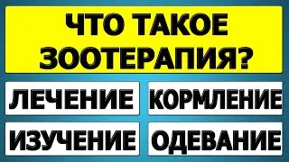 Сможешь угадать? 🤯 Ответы тебя шокируют!