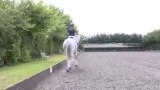 shoulder in