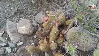 Video Luego de la Tormenta 
