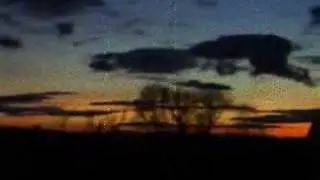Nick Drake Black Eyed Dog