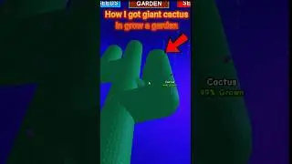 Roblox Giant Cactus In Grow A Garden #shorts #roblox #growagarden