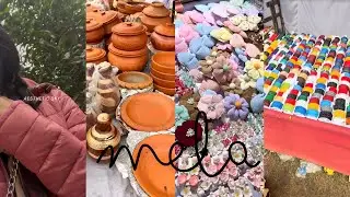 পথ হারিয়ে আমাজন জঙ্গলে🏕️🐍