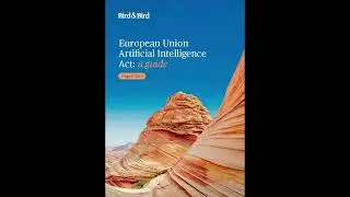 AIAuditor EUAIActGuide