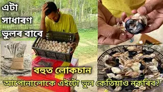 এটা সাধাৰণ ভুলৰ বাবে বহুত লোকচান | আপোনালোকে এইটো ভুল কেতিয়াও নকৰিব?Local Murgi Farm|Local Chicken