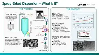 Best Practices for Spray-Dried Dispersion Formulation Selection and Early Development