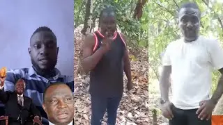 LES PLANTEURS DE CACAO N'EN PEUVENT PLUS DES PROMESSES DE OUATTARA 2800 ÉTAIT UN MENSONGE DE PLUS