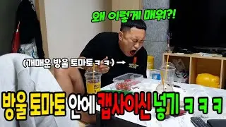 방울토마토 안에 캡사이신 넣기ㅋㅋㅋ