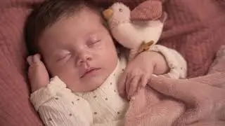 Little Dutch | Cuddle Cloth Bird - Flowers & Butterflies