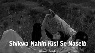 Shikwa Nahin Kisi Se Naseeb 1997 Slowed & Reverb 90s Song Govinda 