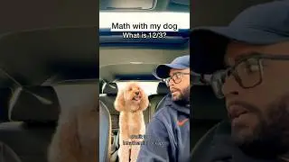 Her face after each question 😳 #dogs #puppylove #minicockapoo credit to @LunaTheMiniCockapoo