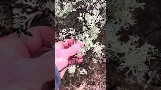 Прогулка в лесу &hellip;.    #пейпиво #natur #наливай #спорт #природа