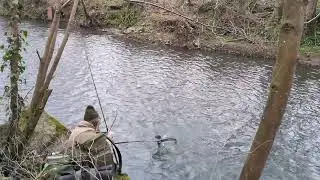 Grayling Trailer