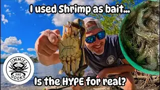 Blue CRABBING- You WON&rsquo;T BELIEVE how SHRIMP CATCH!