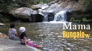 Mama Bungalow & Jortaker Coffee Farm, Cabin in the wild, Mae Wang, Chiang Mai, Thailand
