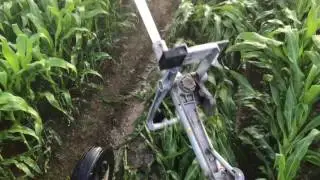 Running through getting wet irrigated corn 🌽Nelson Gun