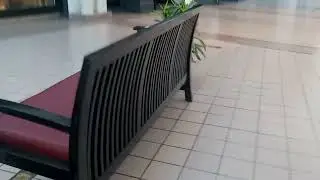 4268: 2015 Black wooden bench @ MainPlace Mall
