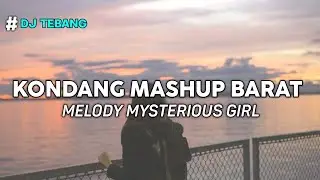 DJ FULL BARAT MELODY MYSTERIOUS GIRL(DJ TEBANG REMIX)