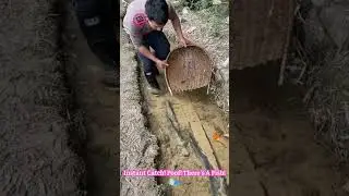 Lazy Fishing: This Guy Scoops Fish From Mud With A Basket! #FishingHacks #EasyCatch #MindBlown 🎣🧺