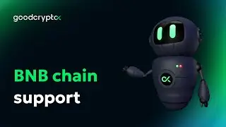 BNB chain support