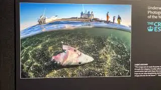 UPY2022 exhibition at the Go Diving show in the UK