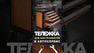 Инструментальный шкаф из Китая. Автовыставка в Шанхае