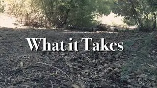 What it Takes