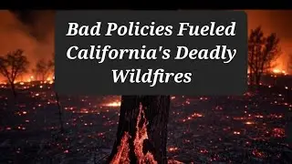 California Wildfires. A perfect storm of neglect and mismanagement.