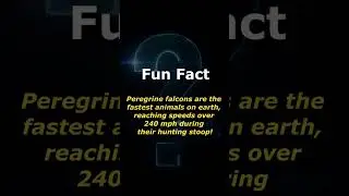 The Superb Aerial Skills of the Peregrine Falcon #FalconFacts #Speed #Nature