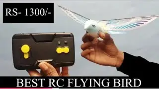 R.C Aircraft 2.4GHZ Ornithopter Firewing is R.C Bird 🦅 Taibao flapping Wing Bird