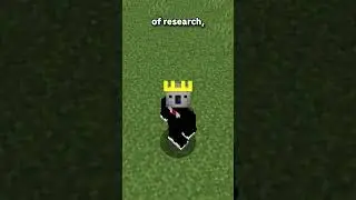 Is it possible to beat Minecraft in Spectator Mode?...