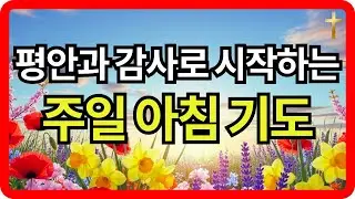 주일 아침, 하나님께 드리는 감사와 평안의 기도ㅣ하루를 시작하는 기도ㅣ하루를 여는 기도ㅣ아침을 여는 기도ㅣ아침시작기도ㅣ아침기도ㅣ감사기도